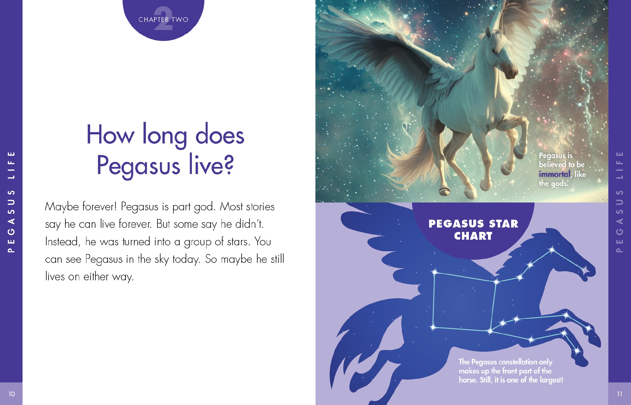 Curious about Pegasus