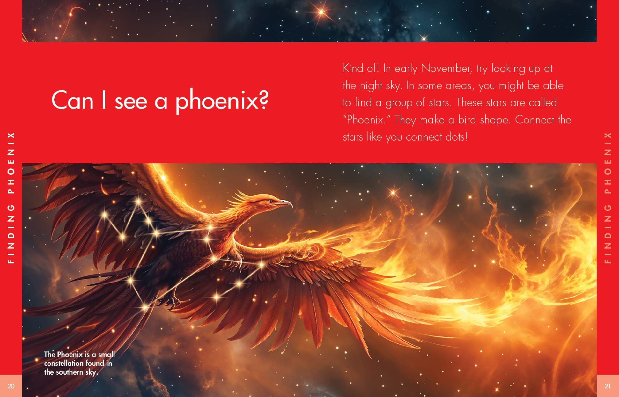 Curious about Phoenix