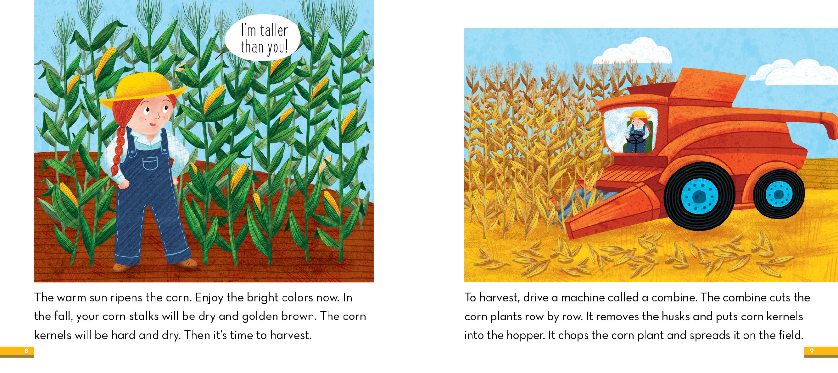 From Corn to Cereal