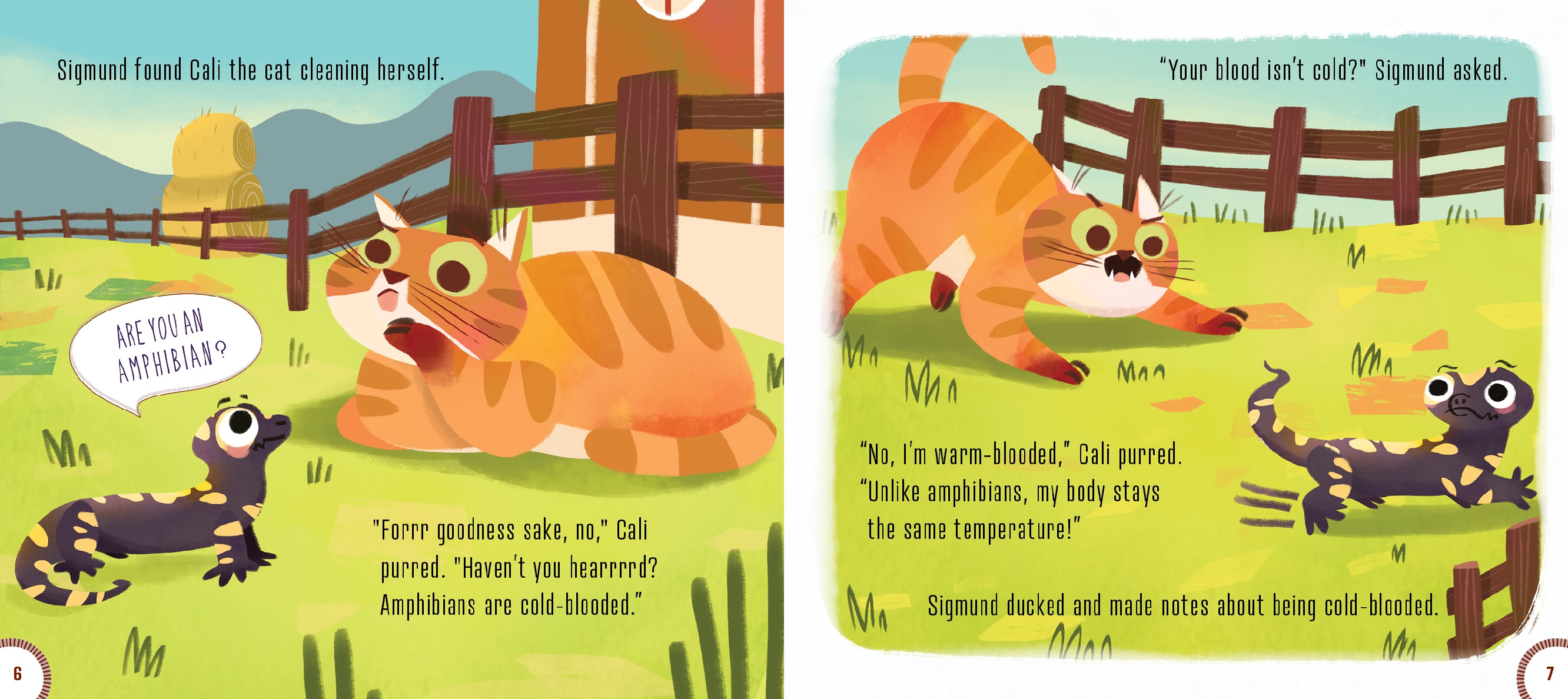 Are You an Amphibian?
