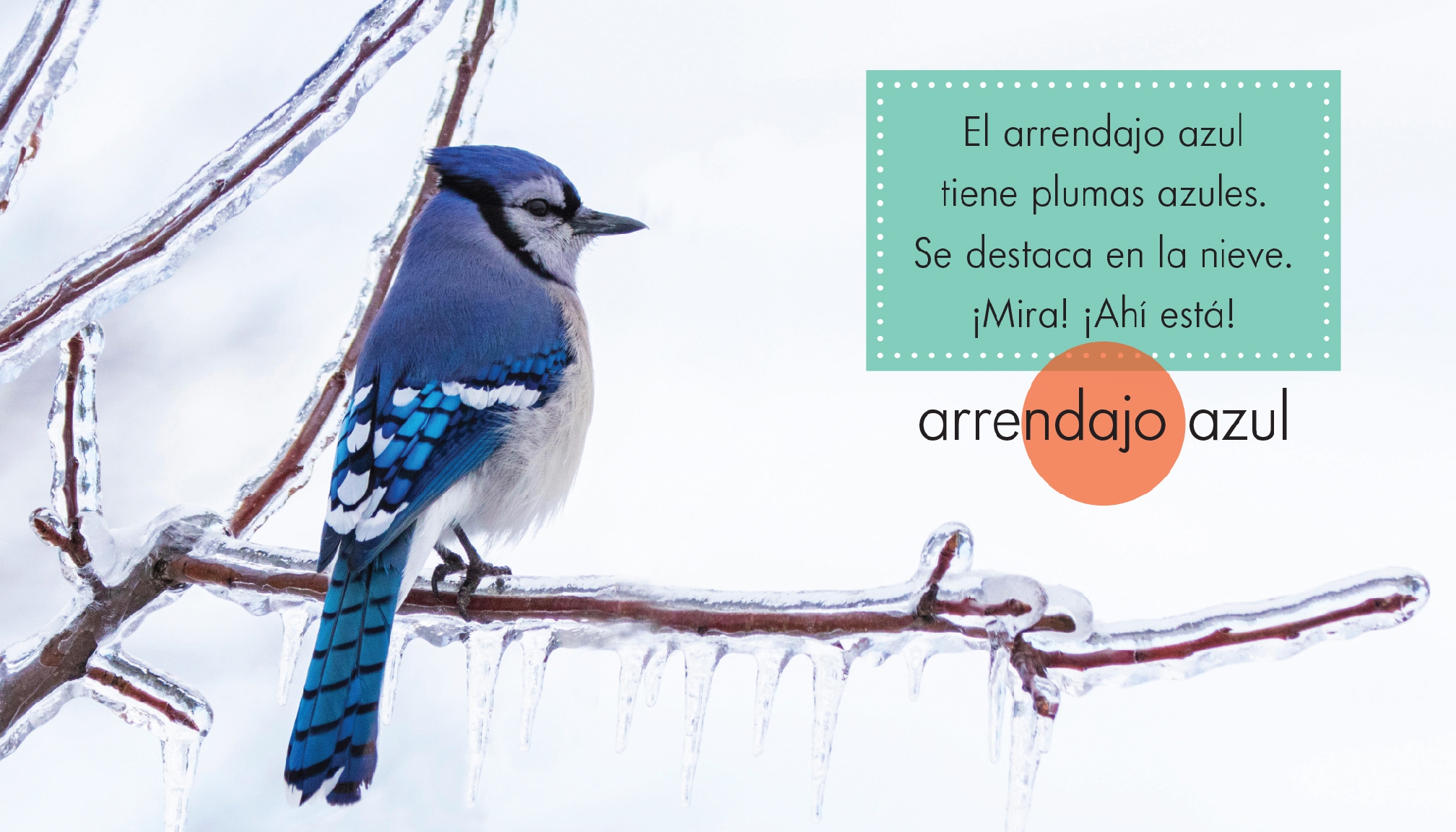 Animales azules
