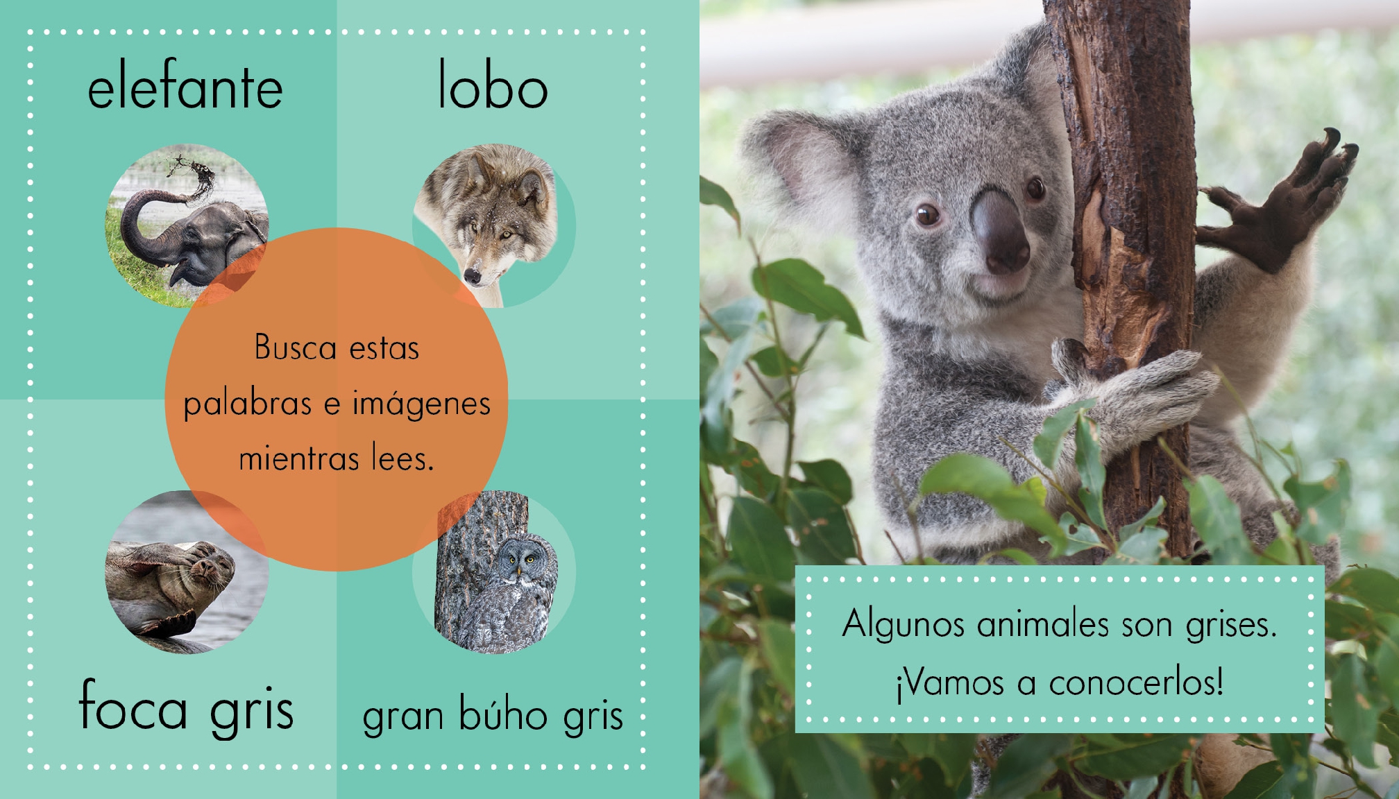 Animales grises