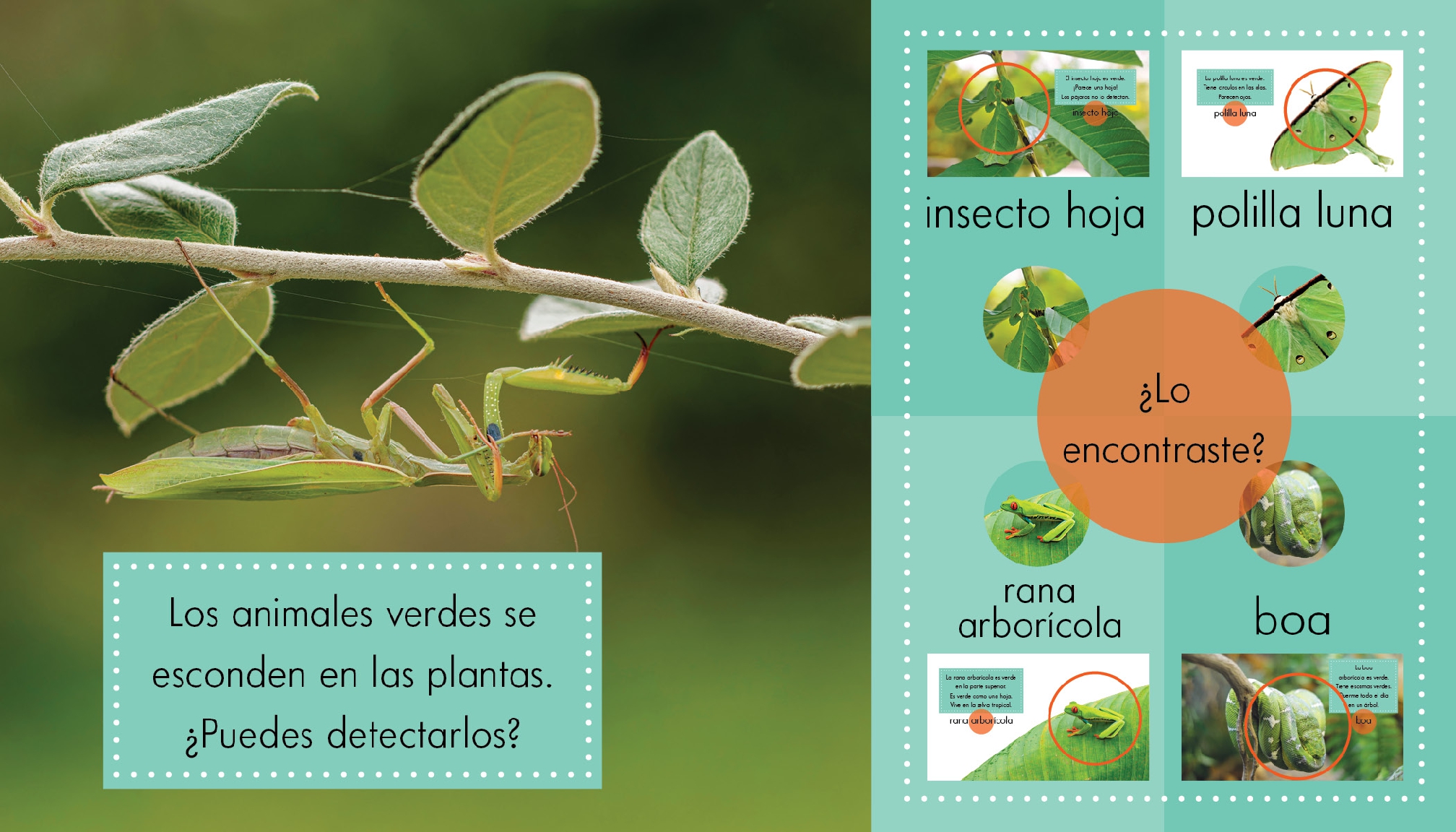 Animales verdes
