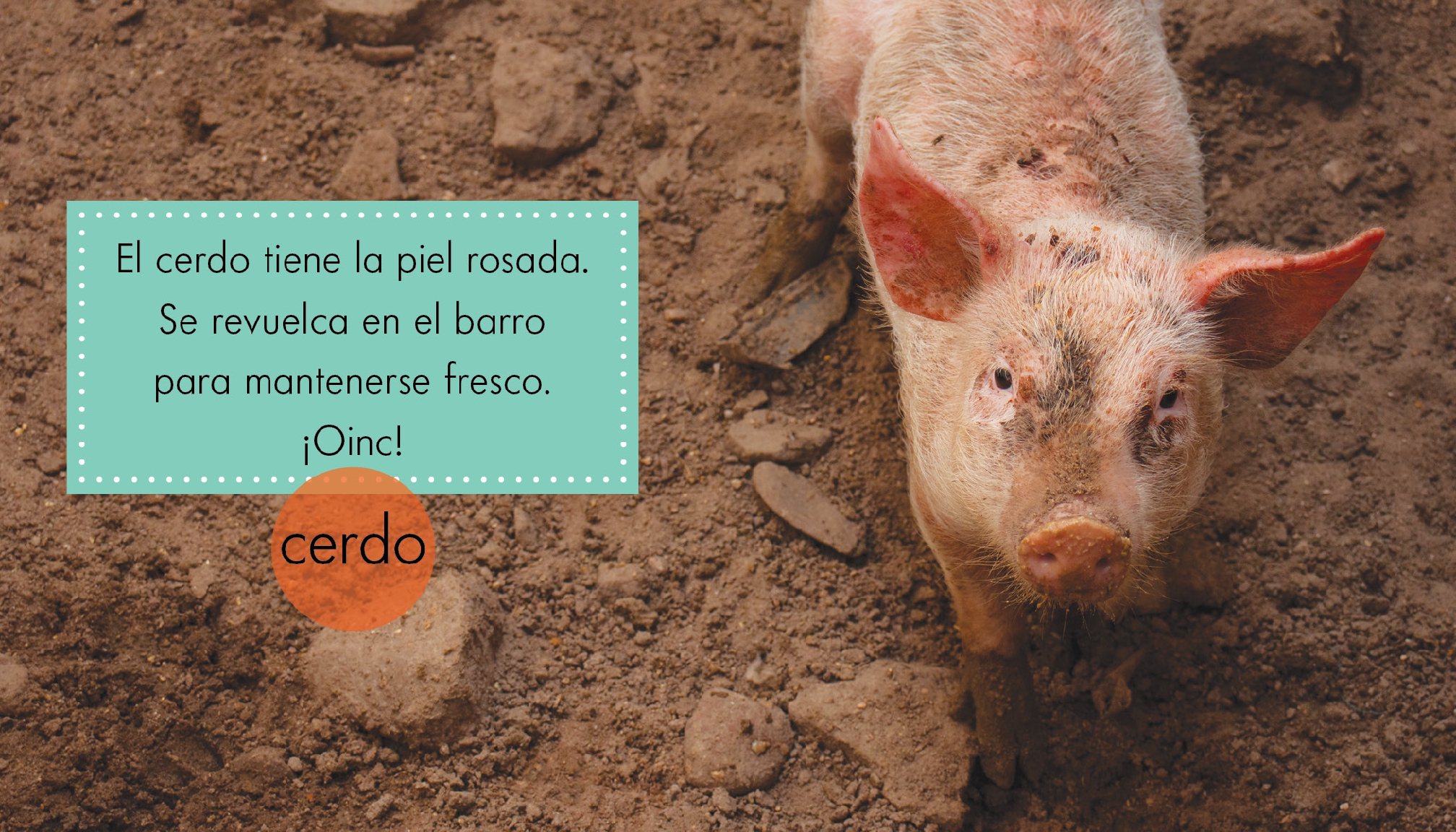Animales rosados