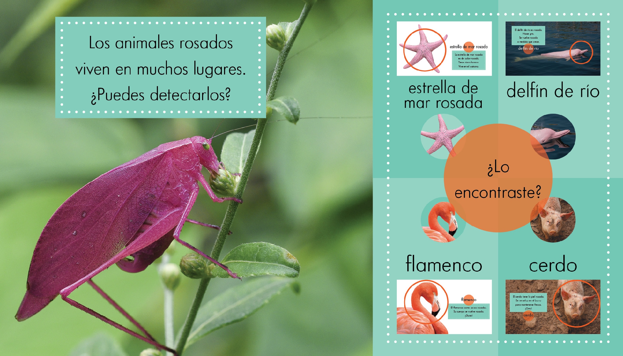 Animales rosados