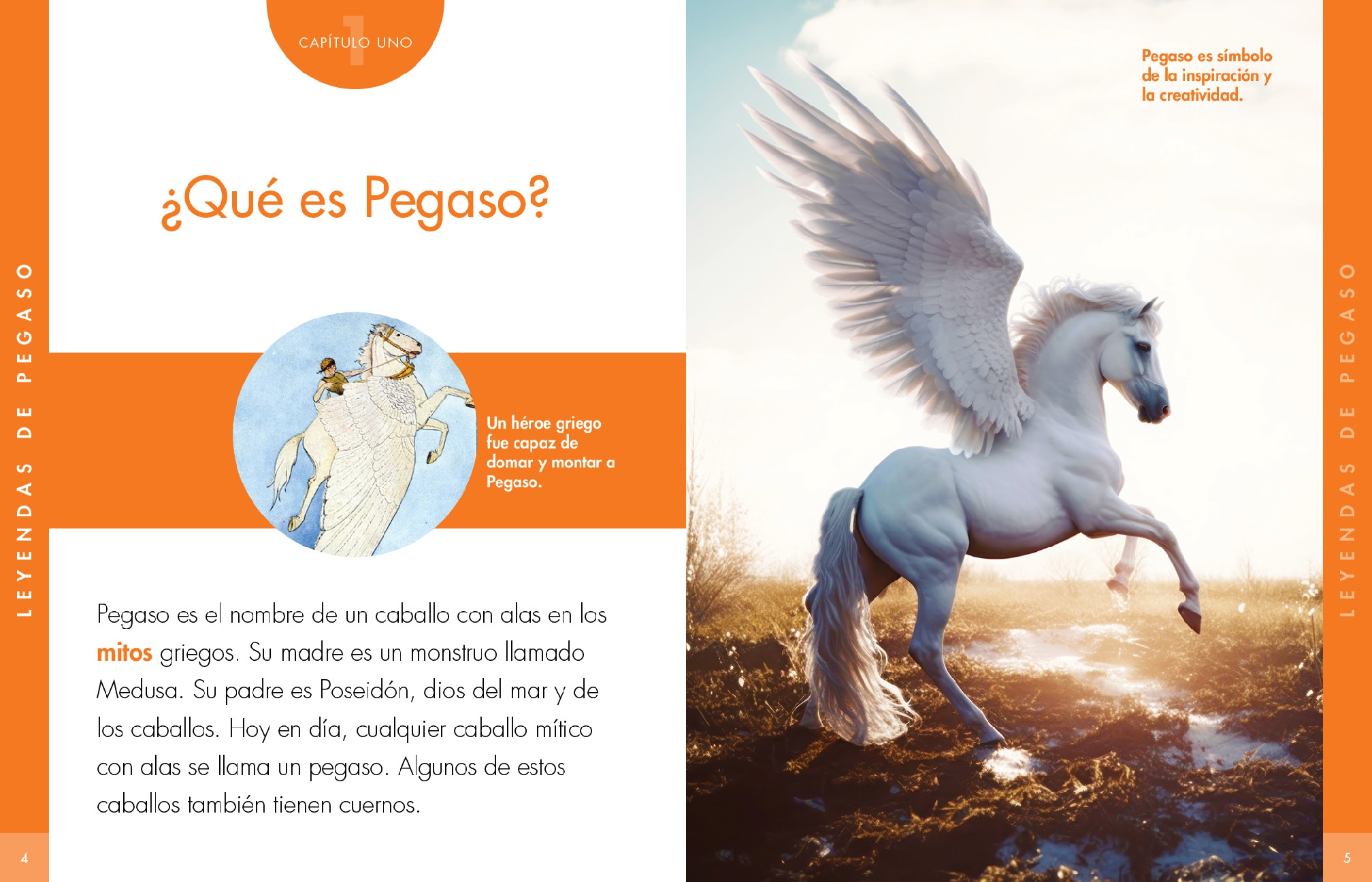 Curiosidad por el pegaso