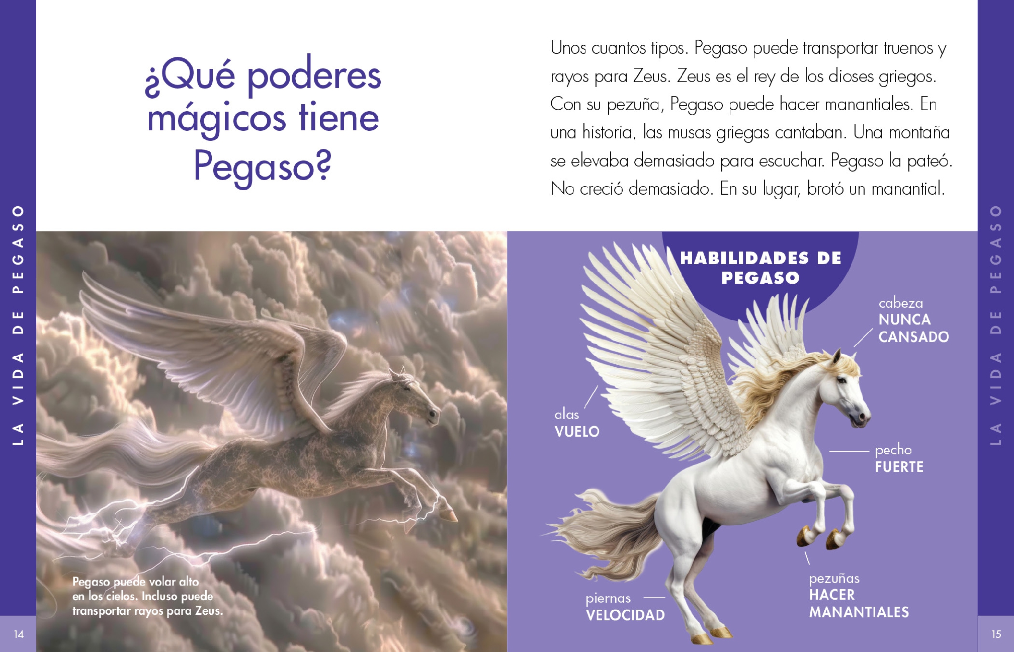 Curiosidad por el pegaso