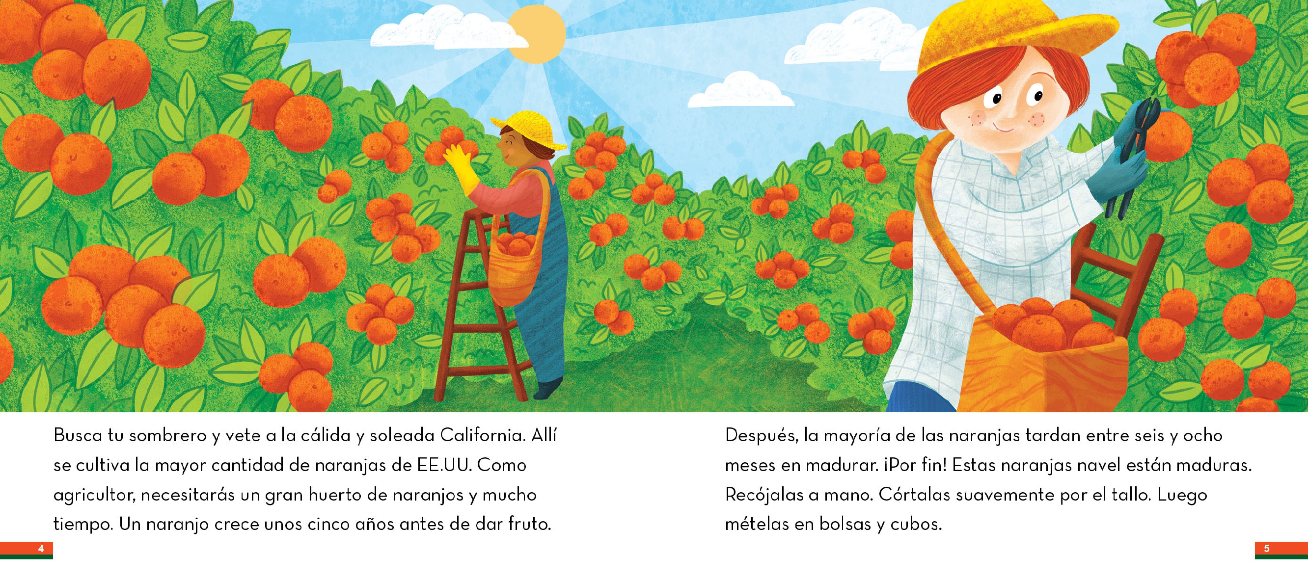 Del árbol a la ensalada de frutas