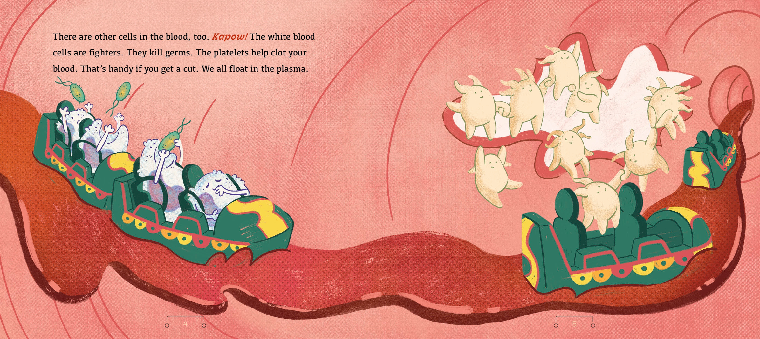 A Tour of the Circulatory System