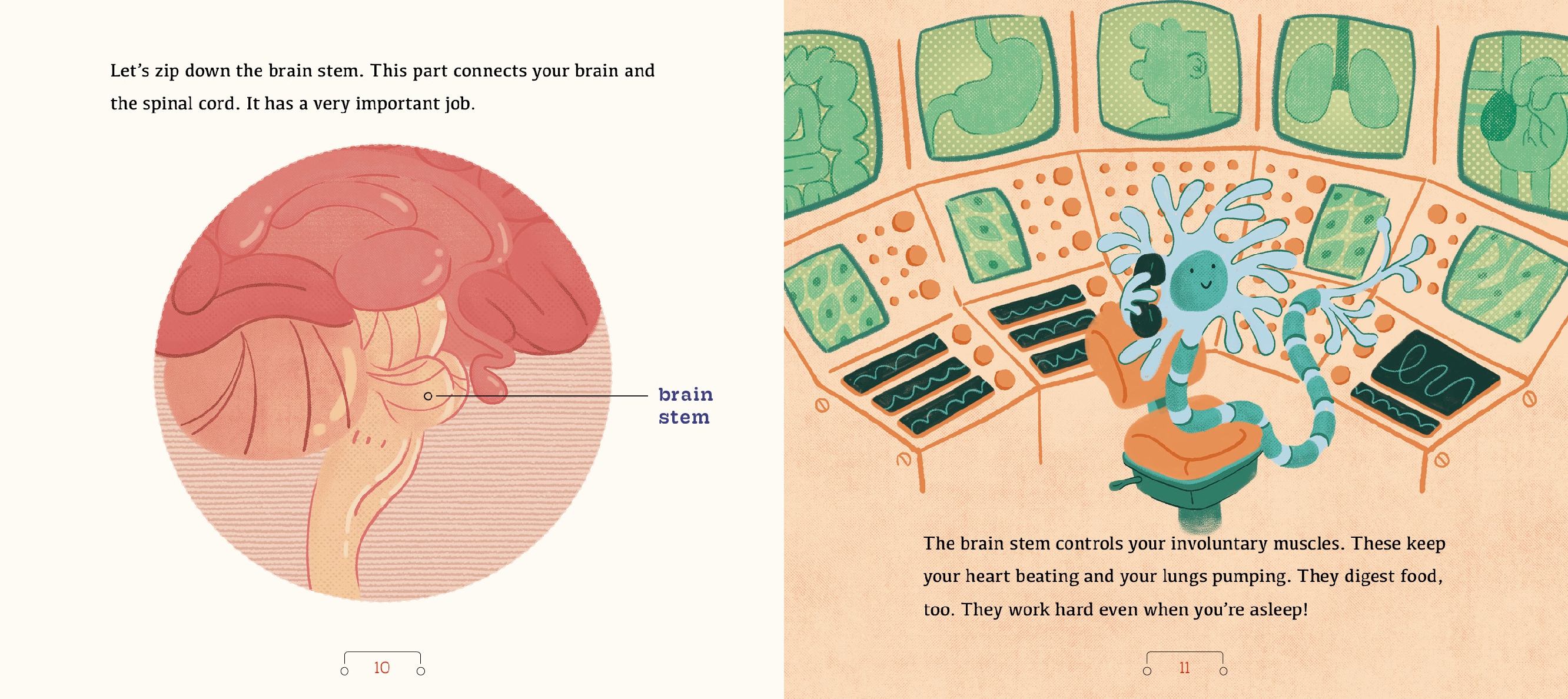 A Tour of the Nervous System