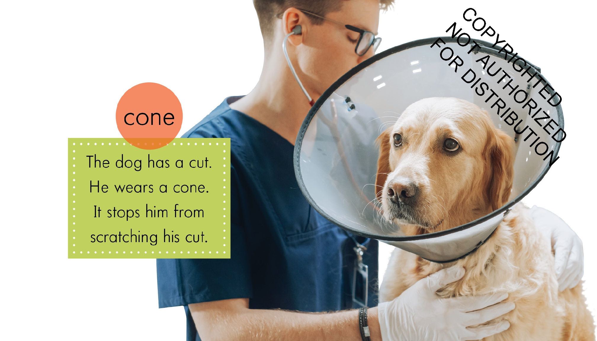 Veterinarians