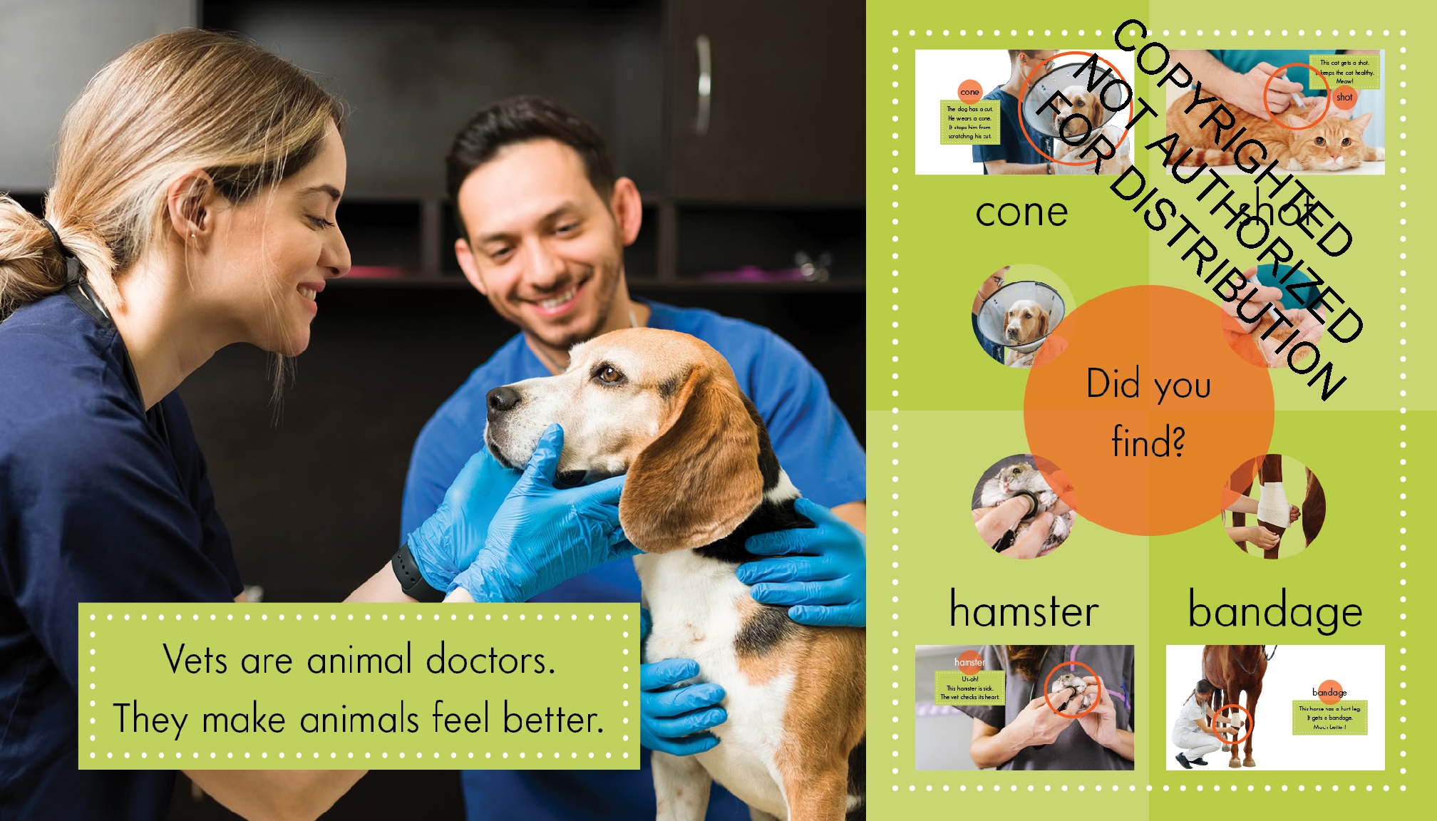 Veterinarians