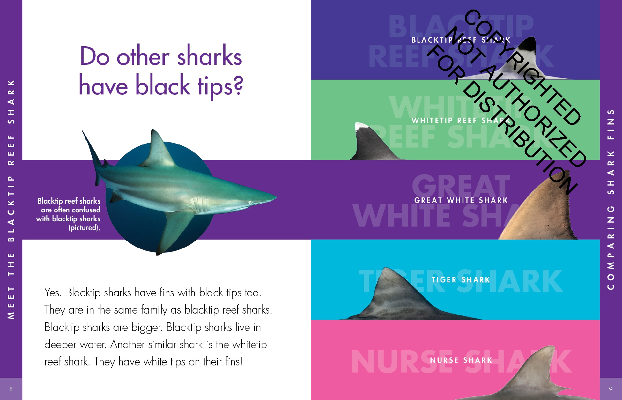 Curious about Blacktip Reef Sharks