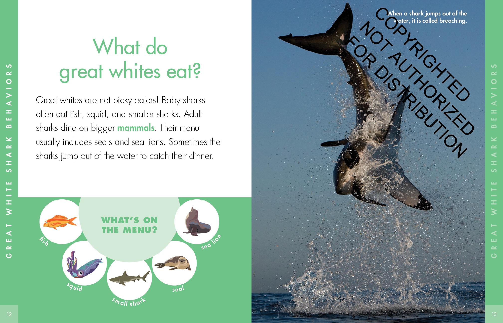 Curious about Great White Sharks