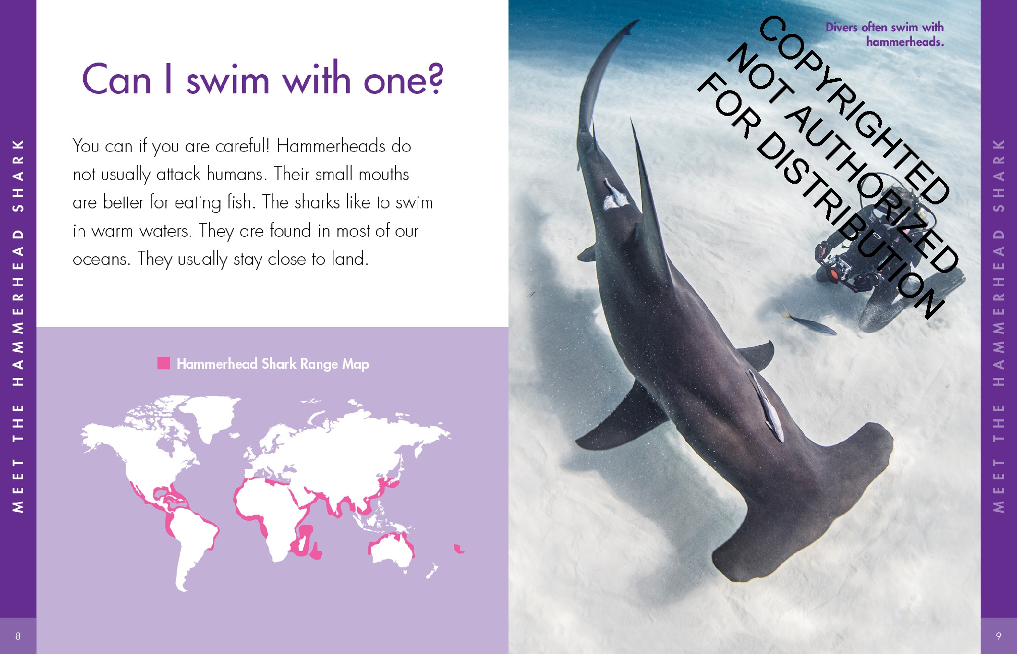 Curious about Hammerhead Sharks