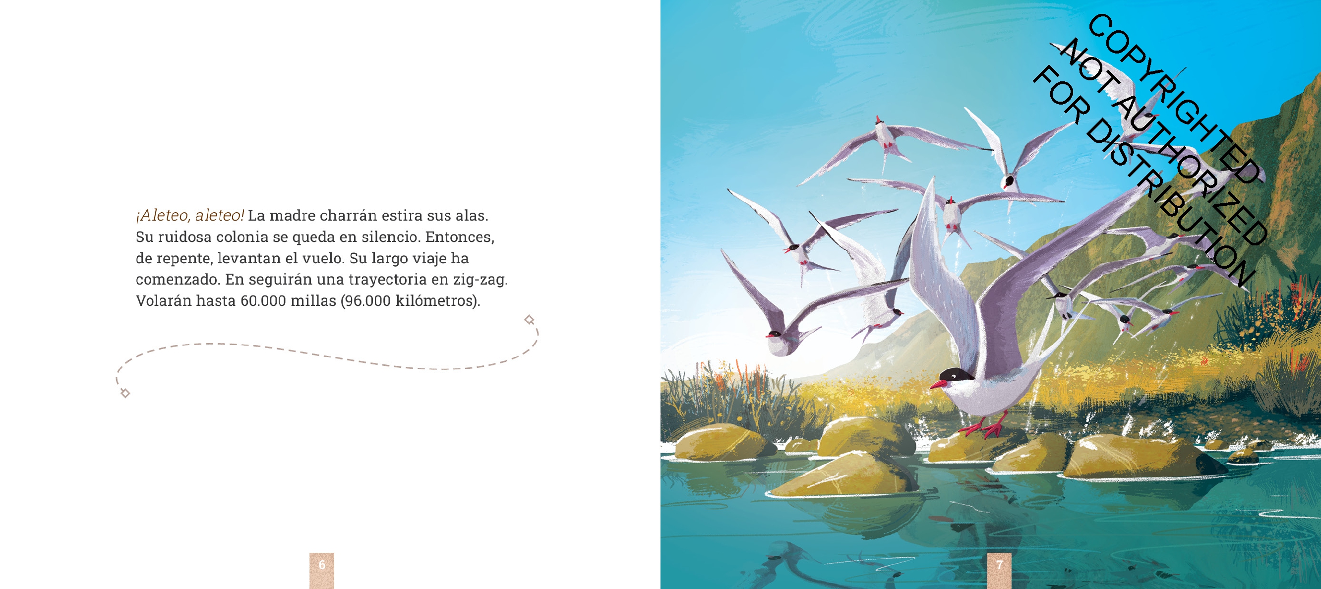 Las golondrinas árticas
