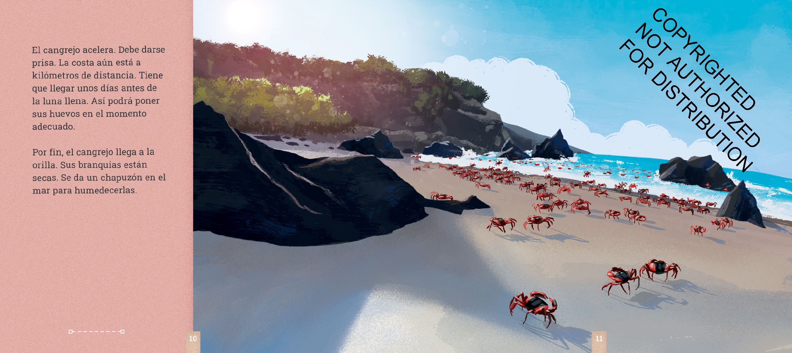 Los cangrejos de la Isla de Navidad