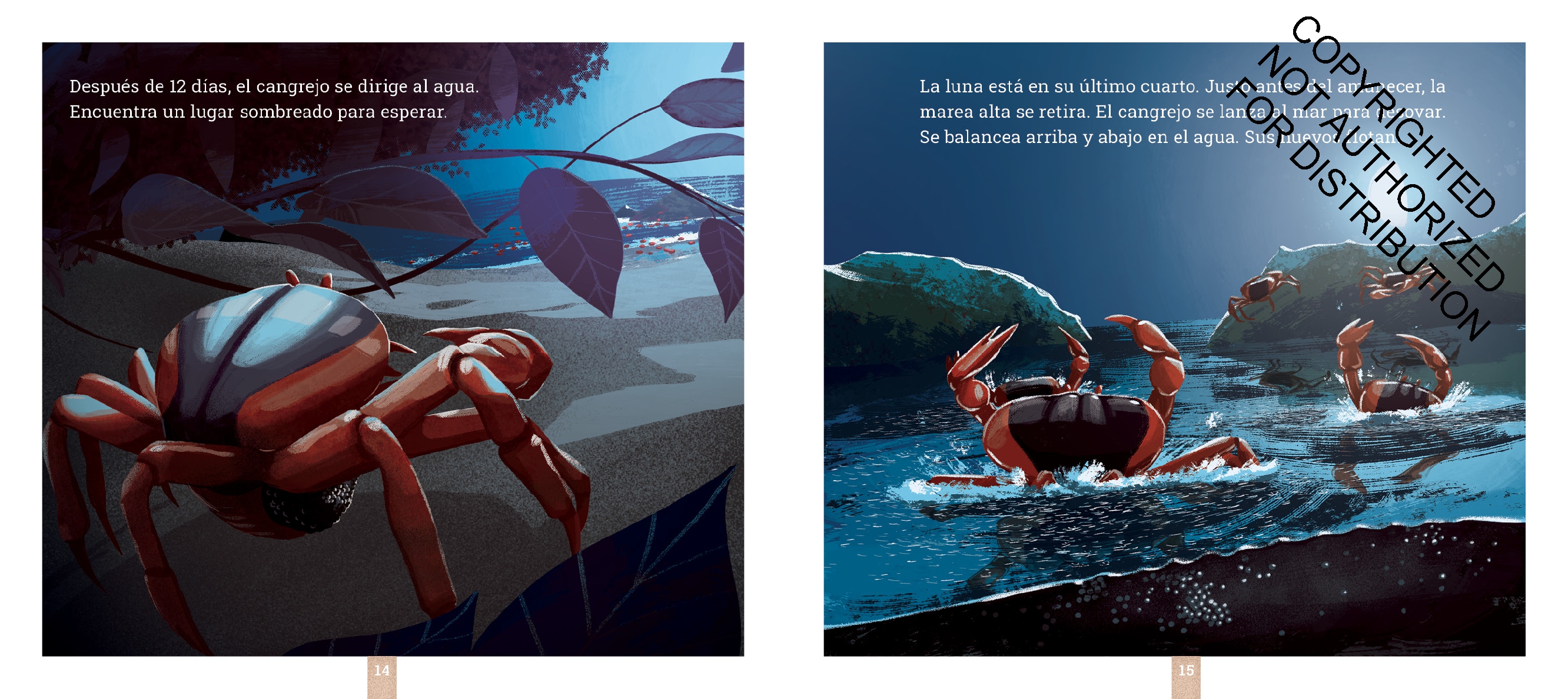 Los cangrejos de la Isla de Navidad