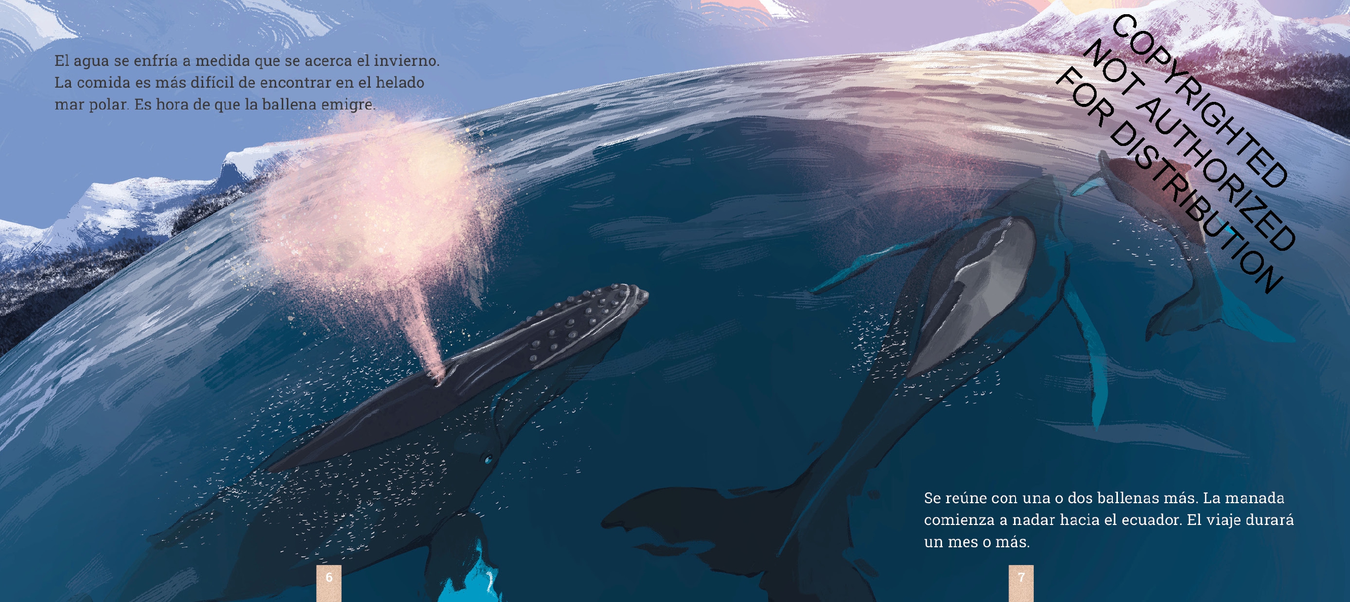 Las ballenas jorobadas