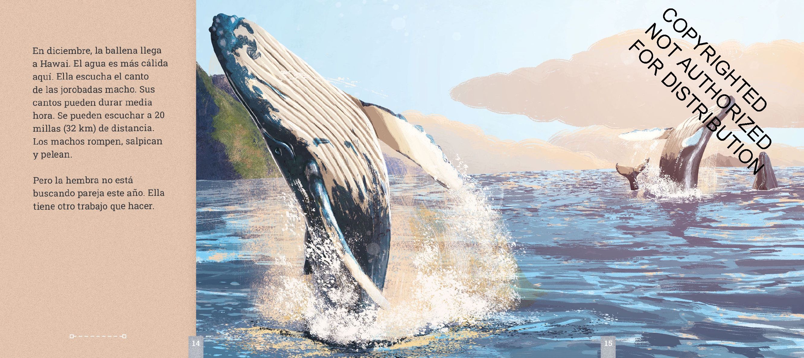 Las ballenas jorobadas