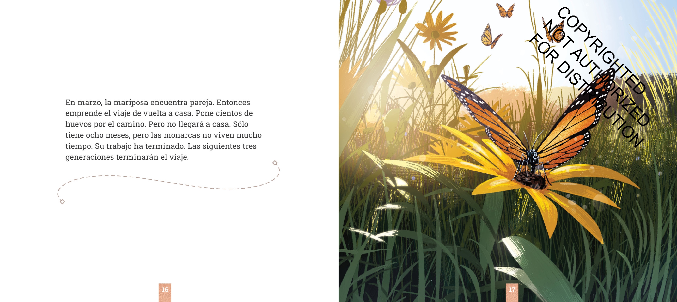 Las mariposas monarca
