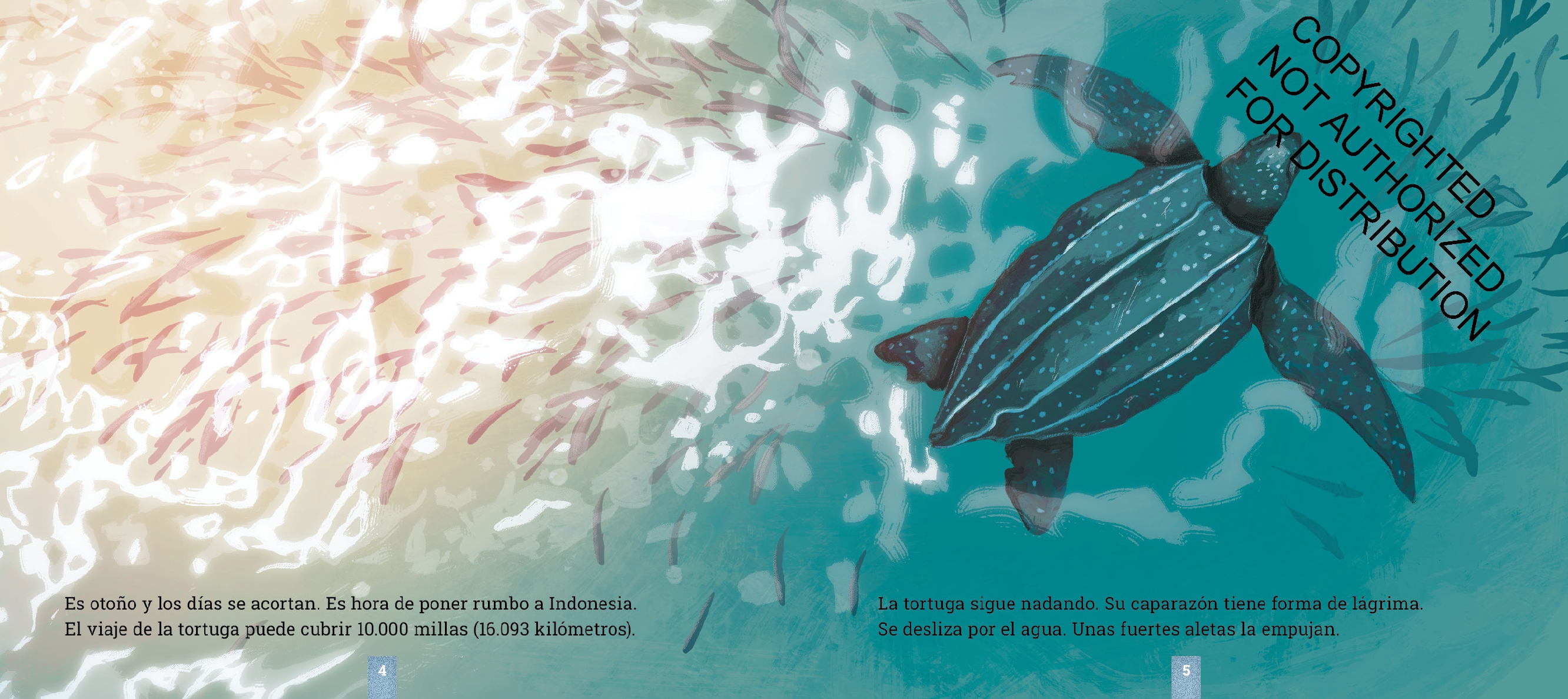 Las tortugas laúd