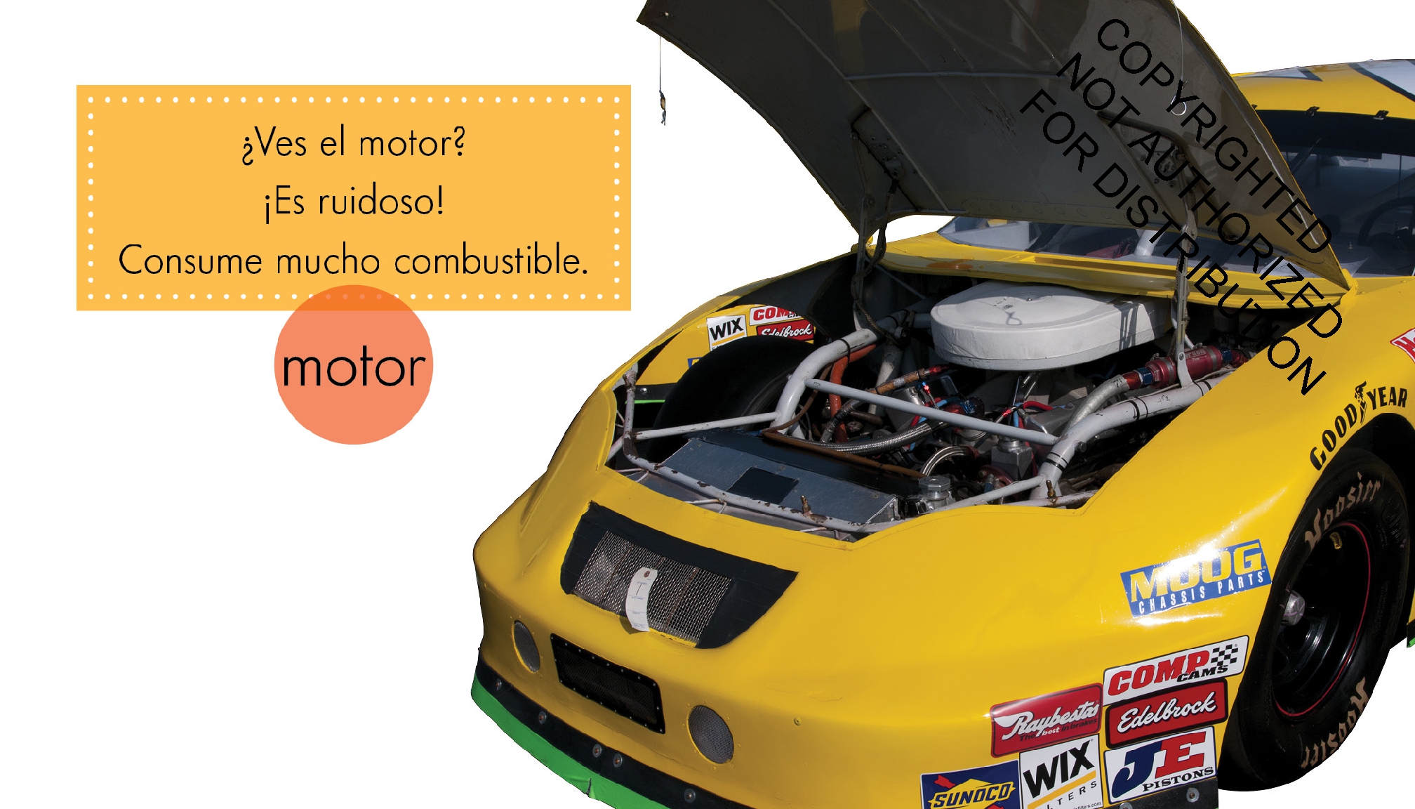 Los Stock Cars