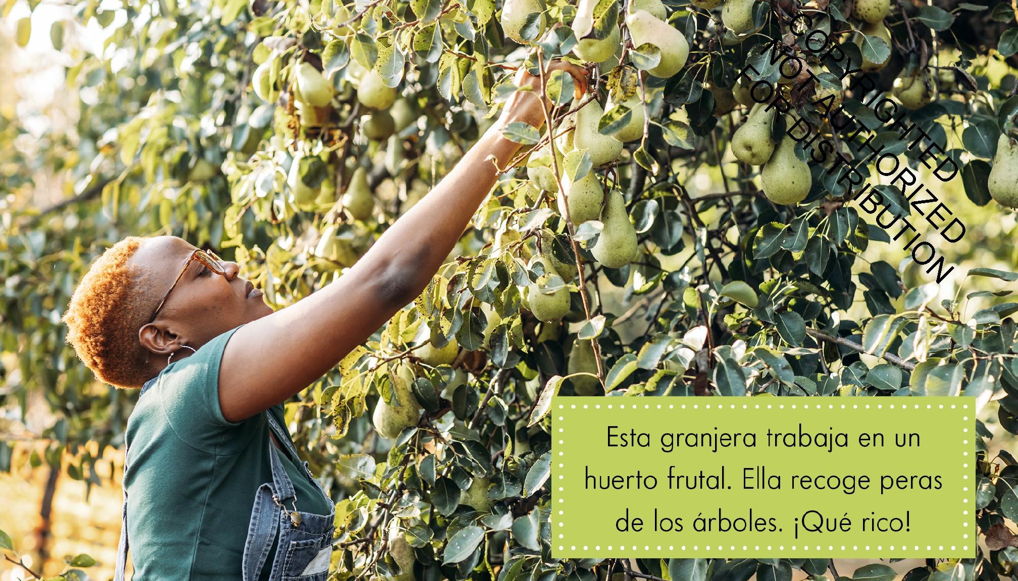 Agricultores