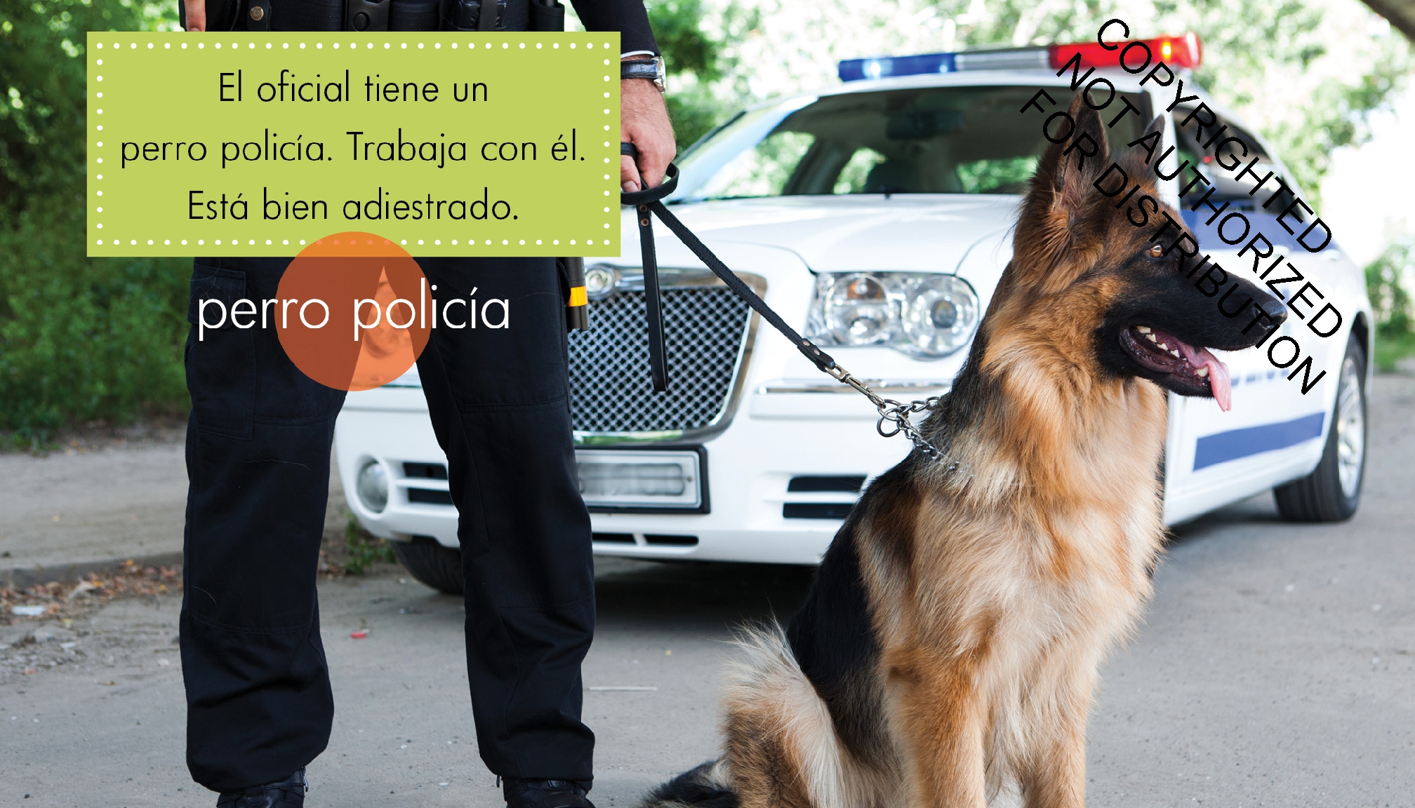 Oficiales de policía
