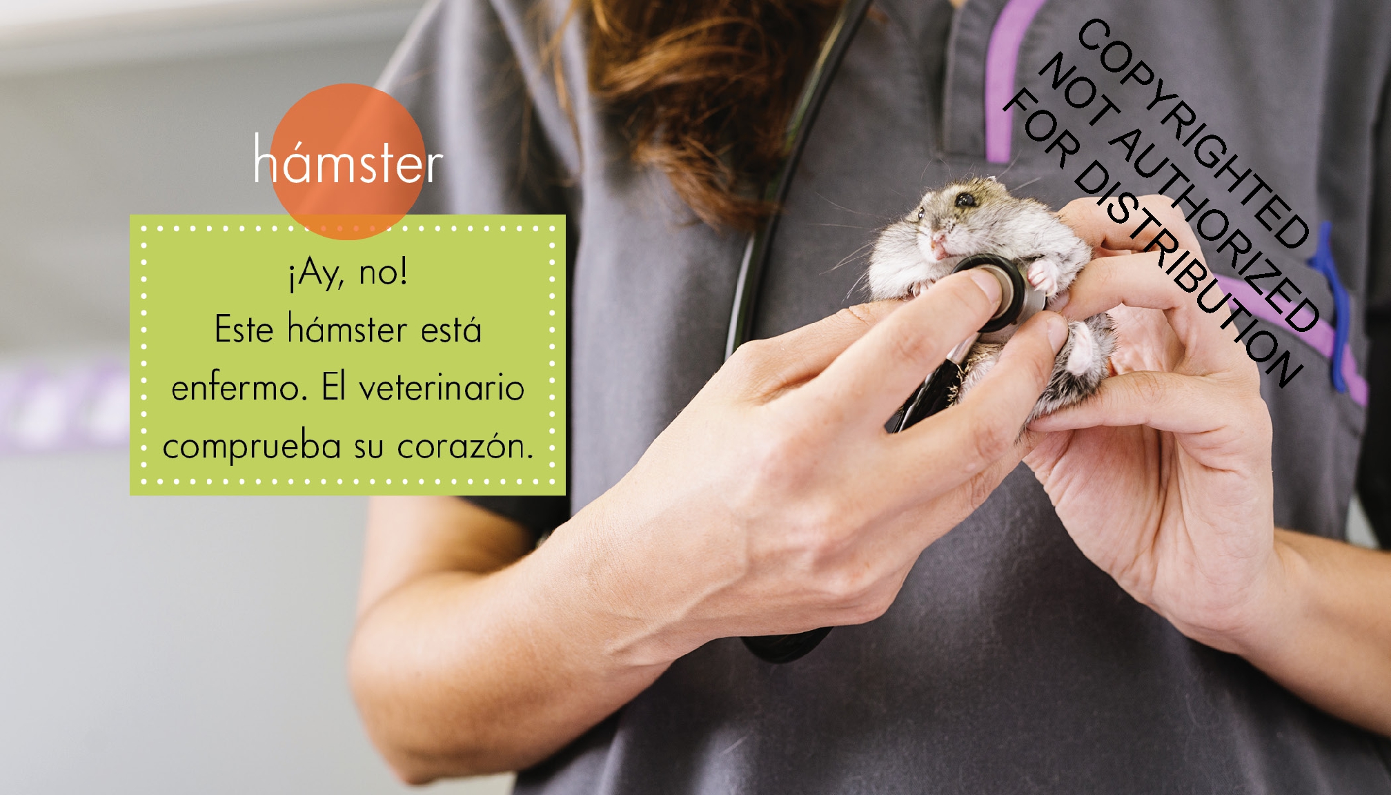 Veterinarios