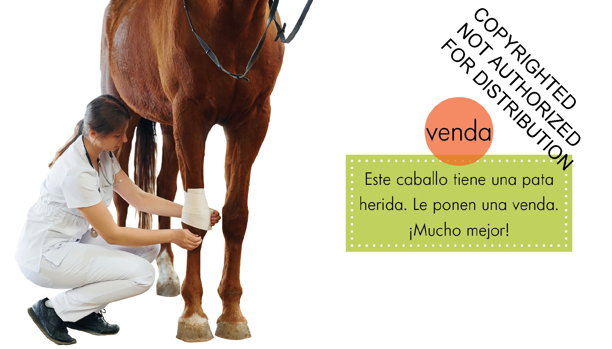 Veterinarios