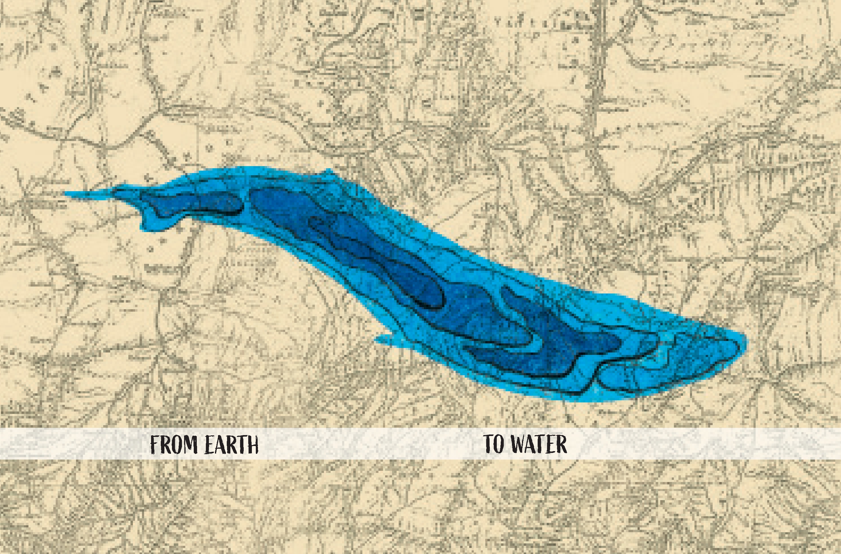 Discover the Giants of Our Oceans