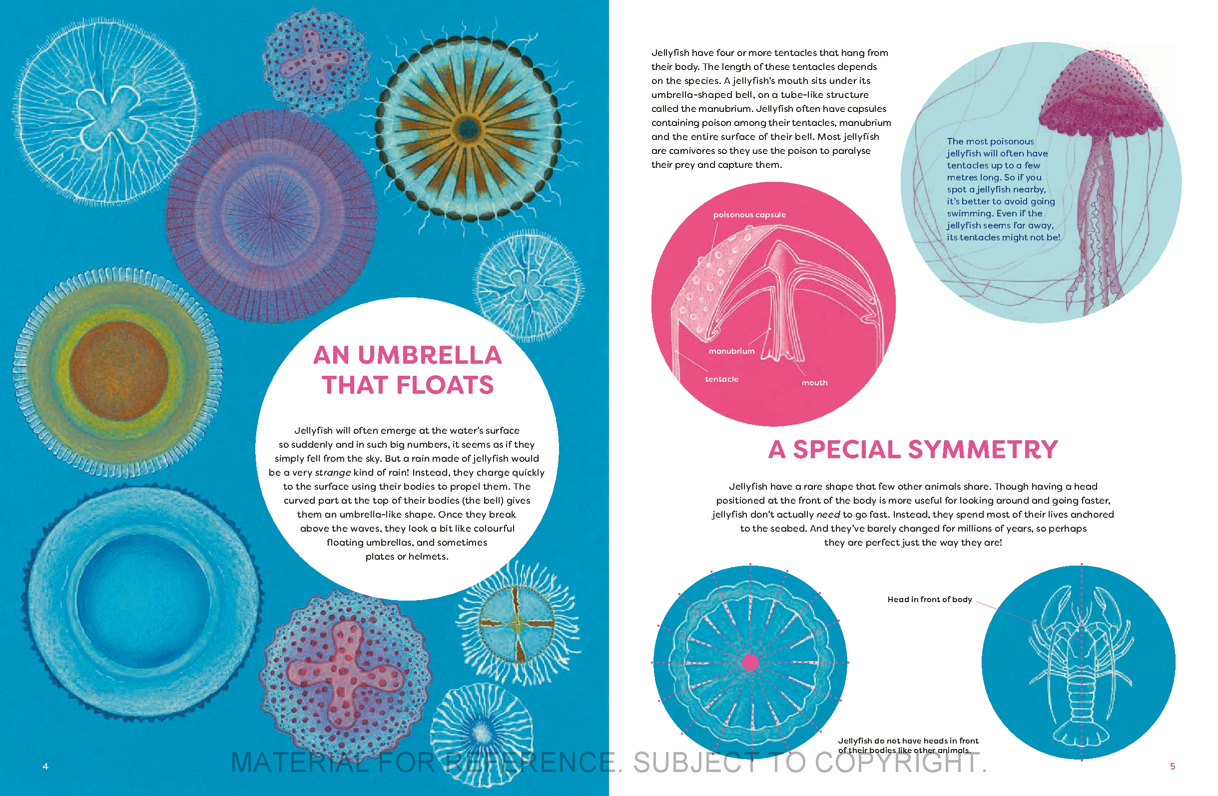 The Jellyfish Garden