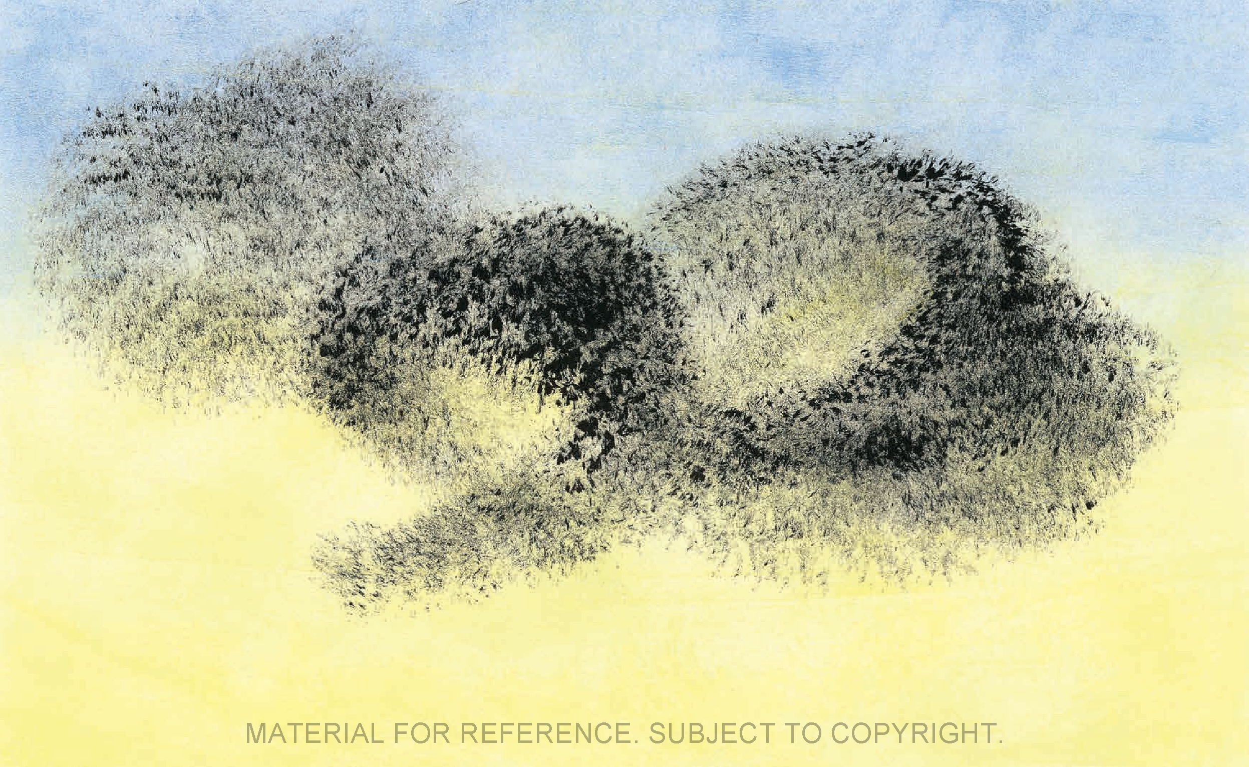 The Call of the Birds