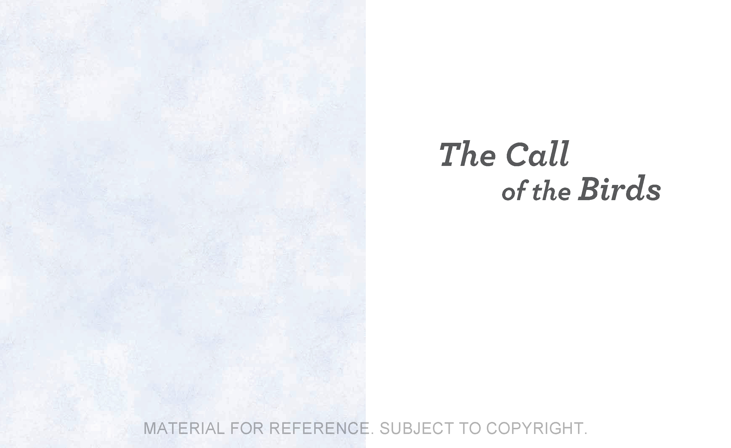The Call of the Birds