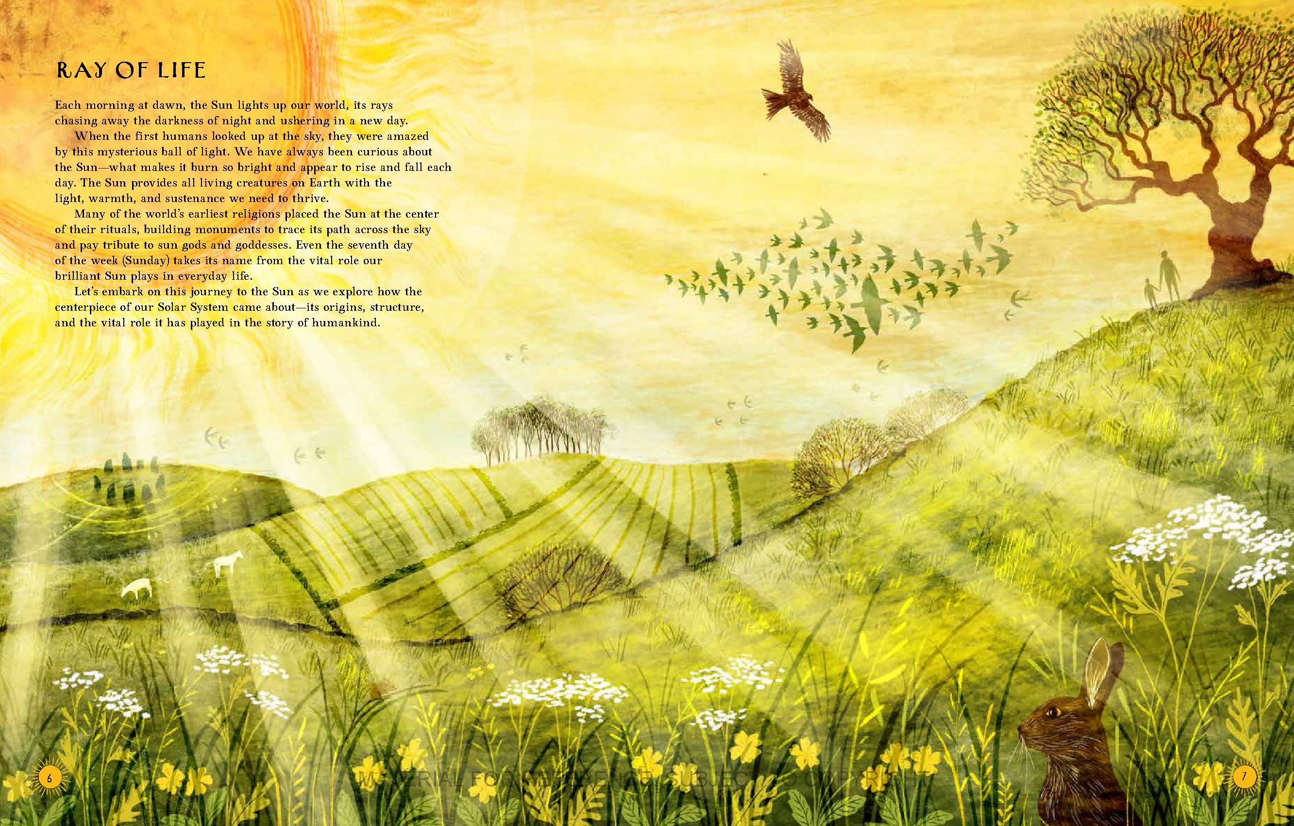 Brilliant Sun, Luminous Moon