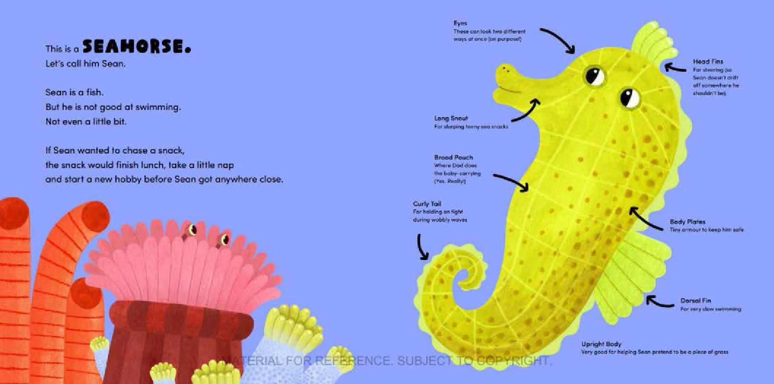 This is What a Seahorse Does