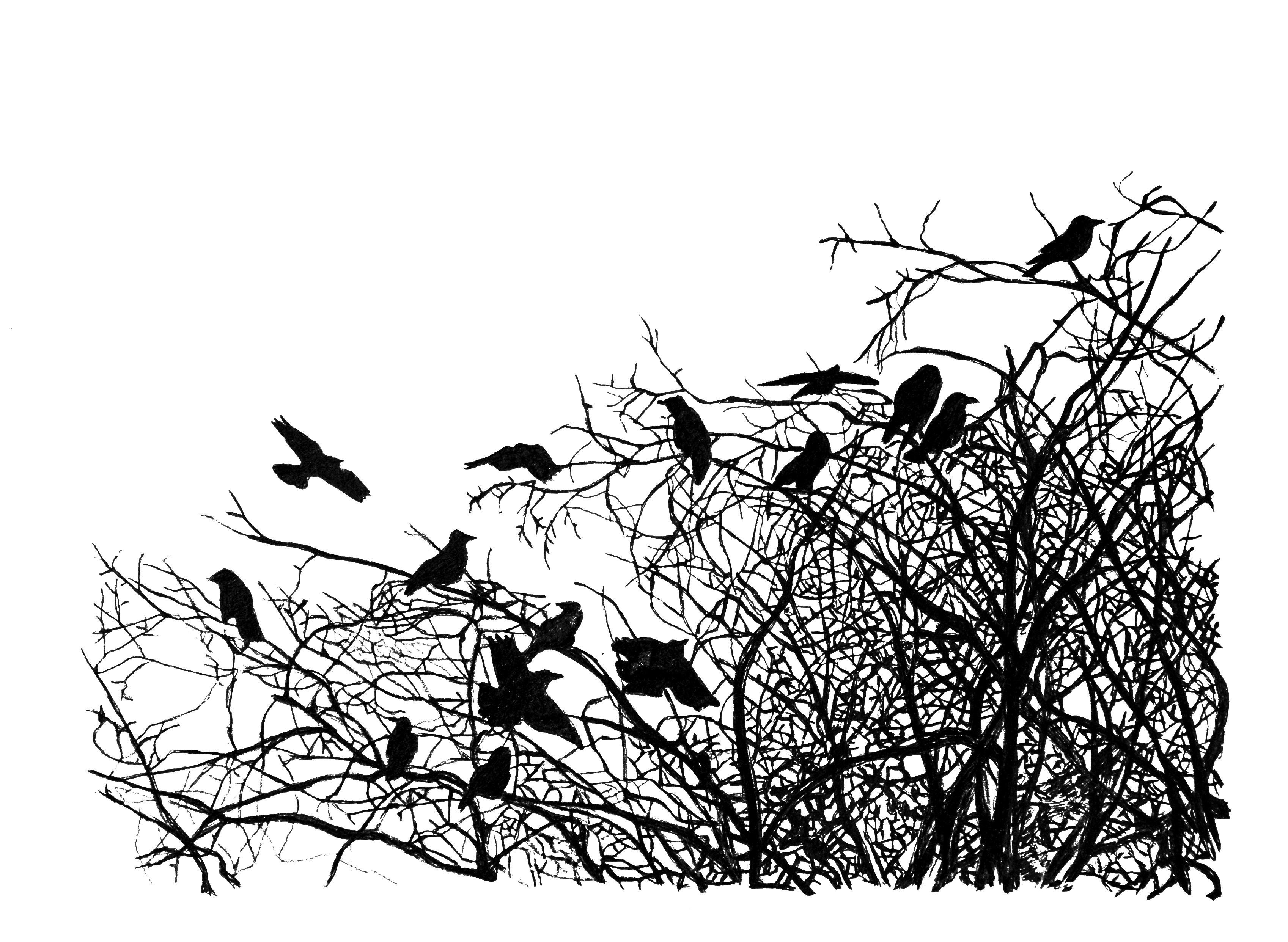 A Hundred Years of Listening